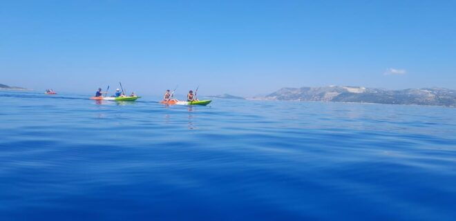 Cavtat: Guided Sea Kayaking Tour - Included Features