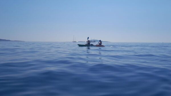 Cavtat: Guided Sea Kayaking Tour - Pricing and Cancellation Policy