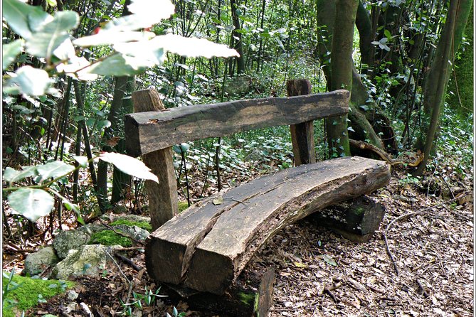 Cavtat & Konavle District Half Day Private Tour - Itinerary Overview