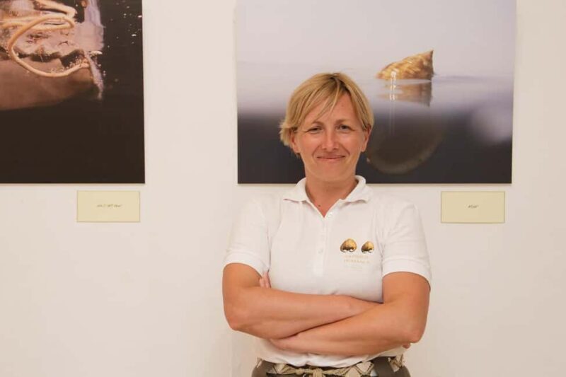 Cavtat: Shell Museum Private Guided Tour - What to Expect from the Cavtat Shell Museum Private Tour