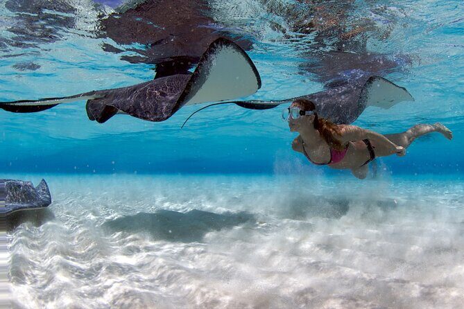 Cayman 2 in 1 Combo Tour Stingray City Reef Snorkel Adventure - An In-Depth Look at the Cayman 2 in 1 Combo Tour