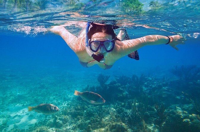 Cayman 2 in 1 Combo Tour Stingray City Reef Snorkel Adventure - FAQ