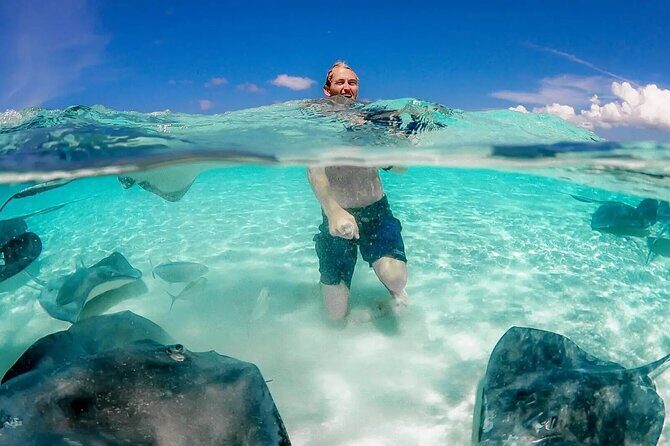 Cayman 3 in 1 Adventure Reef Snorkeling, Starfish and Stingrays - Practical Details: What You Need to Know