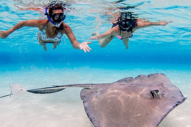 Cayman Adventure: Starfish Point, Stingray City and Coral Gardens - Exploring Starfish Point