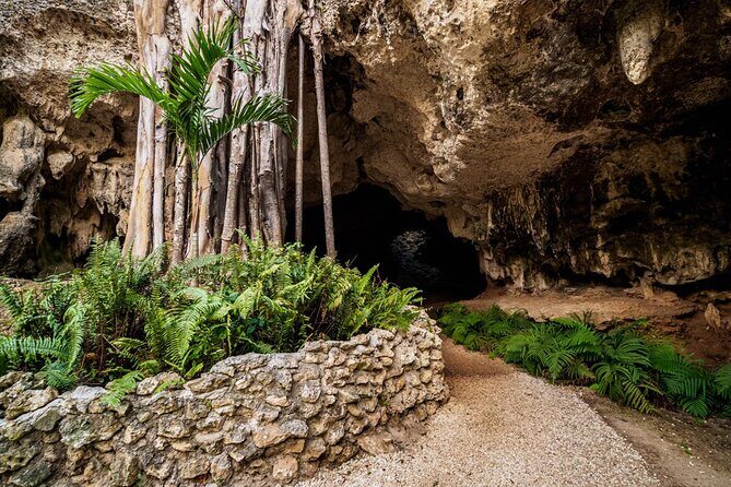 Cayman Adventure Stingrays Starfish plus Crystal Caves - Practical Details and Tips