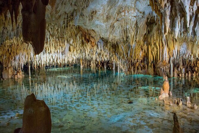 Cayman Adventure Stingrays Starfish plus Crystal Caves - Who Is This Tour Best For?