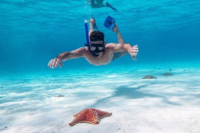 Cayman Combo Tour: Starfish Point, Stingray City & Coral Gardens - Good To Know