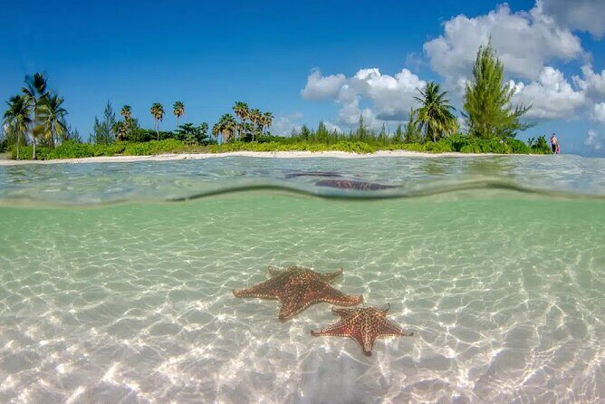Cayman Combo Tour: Starfish Point, Stingray City & Coral Gardens - FAQ