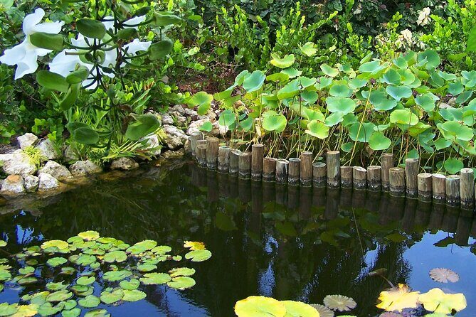 Cayman Crystal Caves & Pedro St James Castle or Botanical Garden - The Sum Up