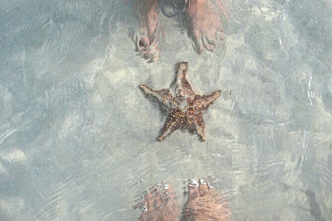 Cayman Ultimate Tour: Stingrays, Starfish Point and Crystal Caves - What’s Included and What to Bring