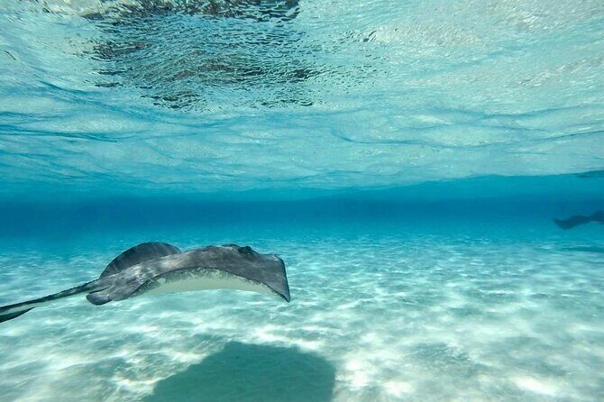 Cayman Ultimate Tour: Stingrays, Starfish Point and Crystal Caves - Who Will Love This Tour?