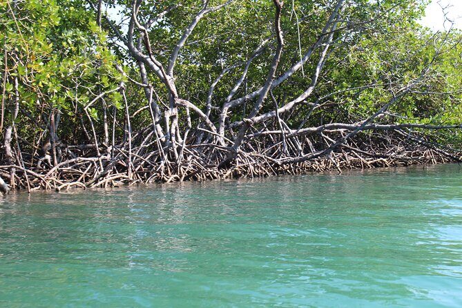 Cayo Arena Day Trip from Puerto Plata, Sosua and Cabarete - FAQ