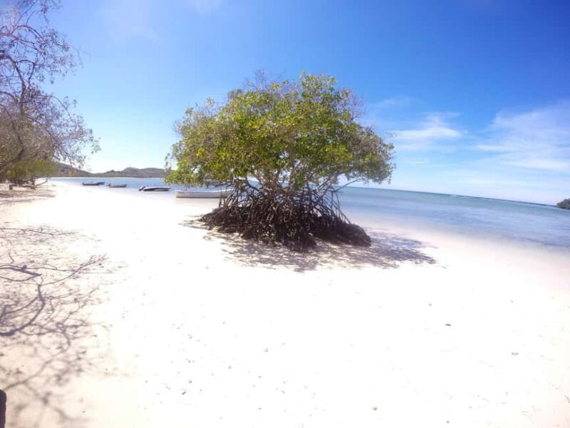 Cayo Arena: Paradise Island and Mangroves Tour - Practical Tips and Considerations