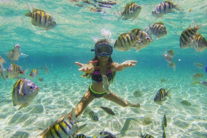 Cayo Arena: Paradise Island and Mangroves Tour Lunch - Good To Know
