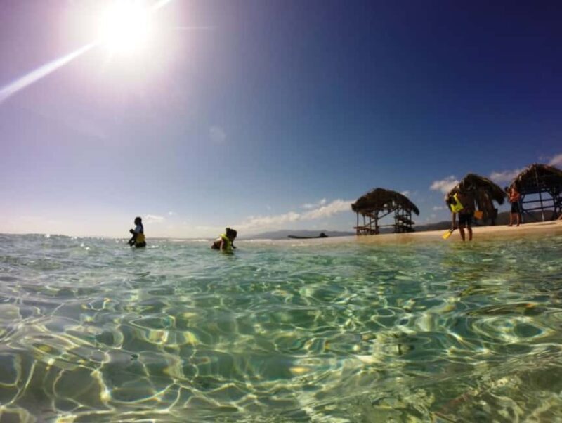Cayo Arena: Paradise Island and Mangroves Tour - Transportation, Duration, and Group Size