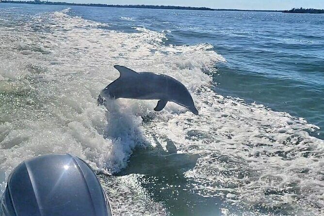Cayo Costa Private Power Boat Experience - Why You’ll Love This Experience
