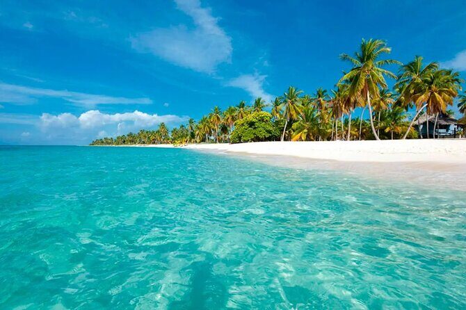 Cayo Levantado, Isla Bacardí and Whale Watching in Samaná - Authentic Experiences from Past Travelers