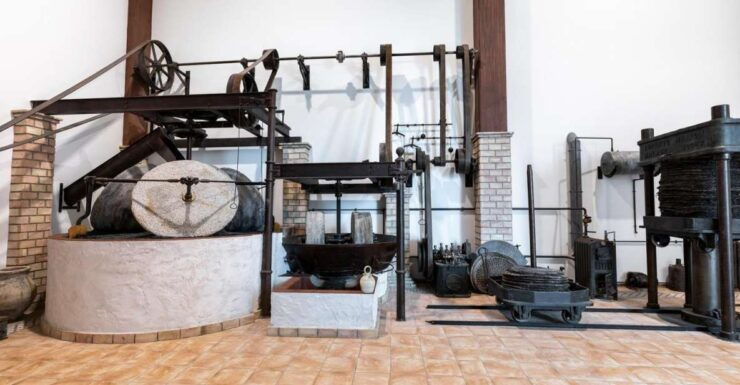 Cazorla: Oleotour - Olive Oil Culture Initiation - Tour Details