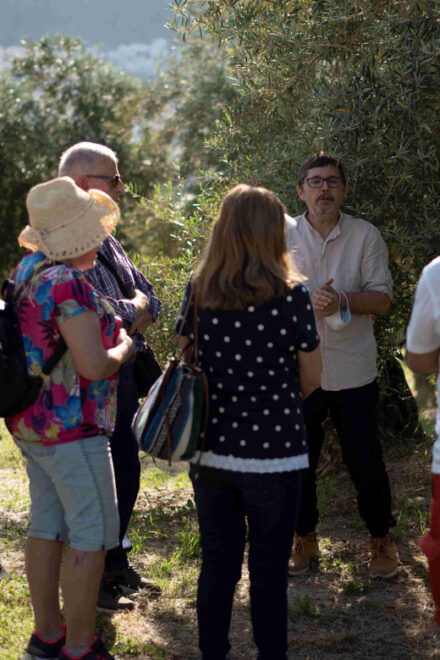 Cazorla: Olive Grove and Mill Tour - Olive Oil Production