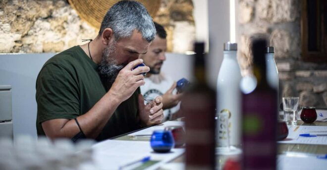Cazorla: Olive Grove and Mill Tour - Tasting Experience