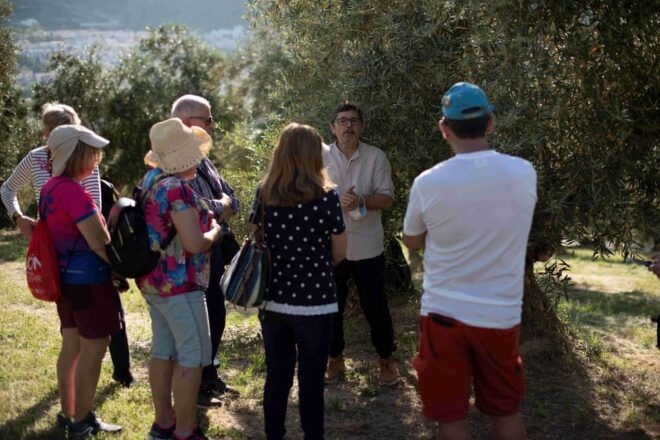 Cazorla: Olive Grove and Mill Tour - Customer Review