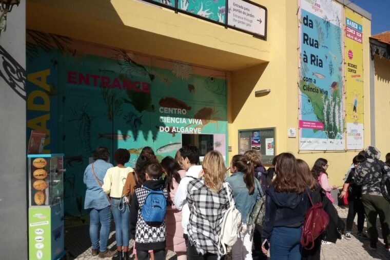 CCVAlgarve Individual Ticket - Value for Money