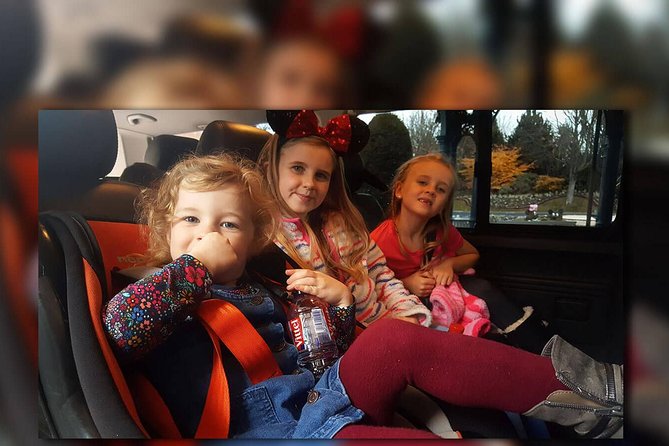 CDG - Euro Disney - CDG Two Way Private Shuttle Transfer - Whats Included