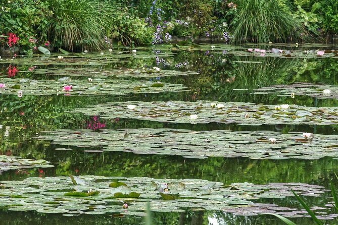 CDG Pick up and Drop With Crepe Tasting and Cruise. - Flexible Time Selection for Convenience