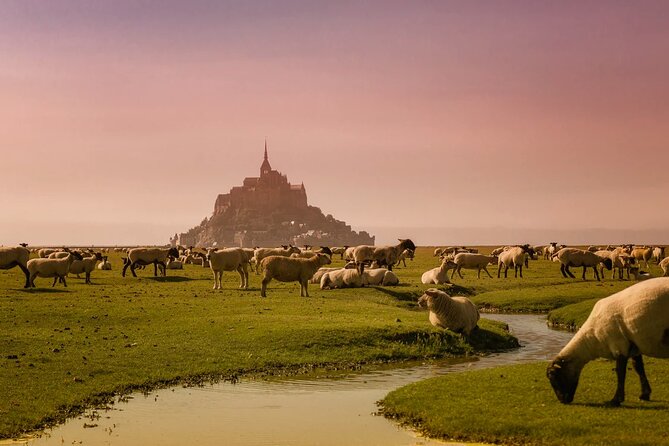 CDG Transfers & Saint Michel Tour With Eiffel Tower Photoshoot - Non-refundable and Non-changeable Policy