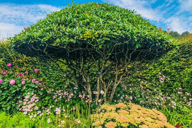 CDG Transfers With Private Tour in Giverny, Seine & Wine Tasting - Directions