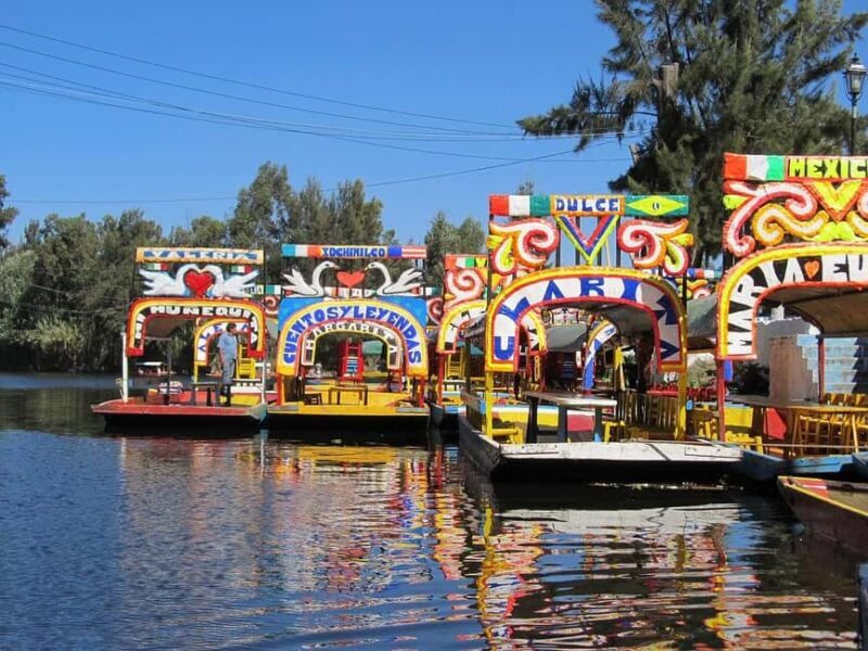 CDMX: Coyoacán, UNAM, Xochimilco, and optional Frida Kahlo Museum - The Sum Up