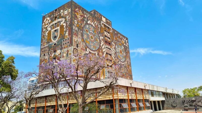 CDMX: Coyoacán, UNAM, Xochimilco, and optional Frida Kahlo Museum - FAQ