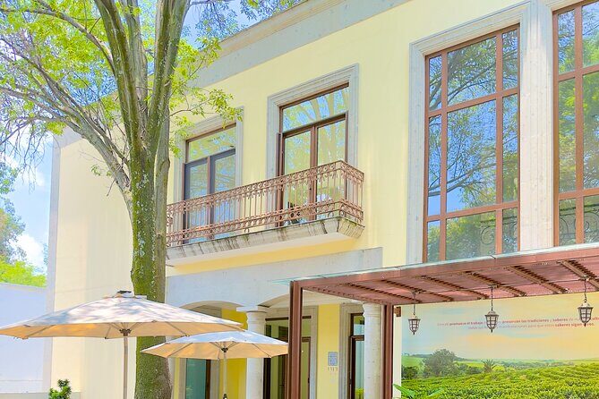 CDMX from Heaven Diego Rivera and Cantina Presidential Mansion - The Sum Up