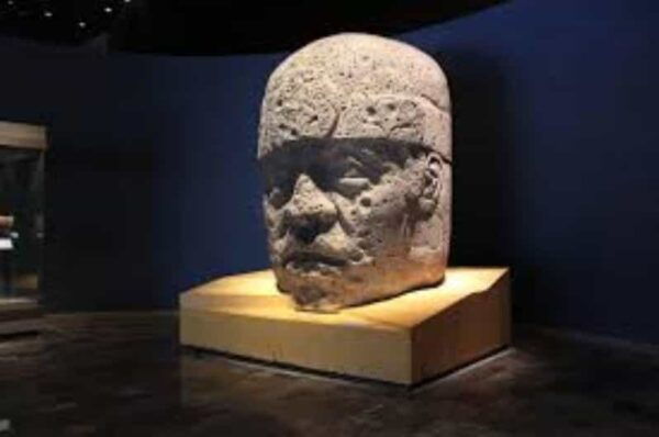 CDMX: Full-Day Museum Tour - Expert Guidance Provided
