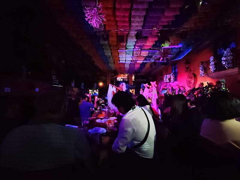 CDMX: Garibaldi Copa Show - Who Will Love This Tour?