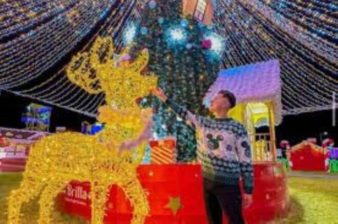 CDMX: Illuminated Village Tour - Cultural Insights