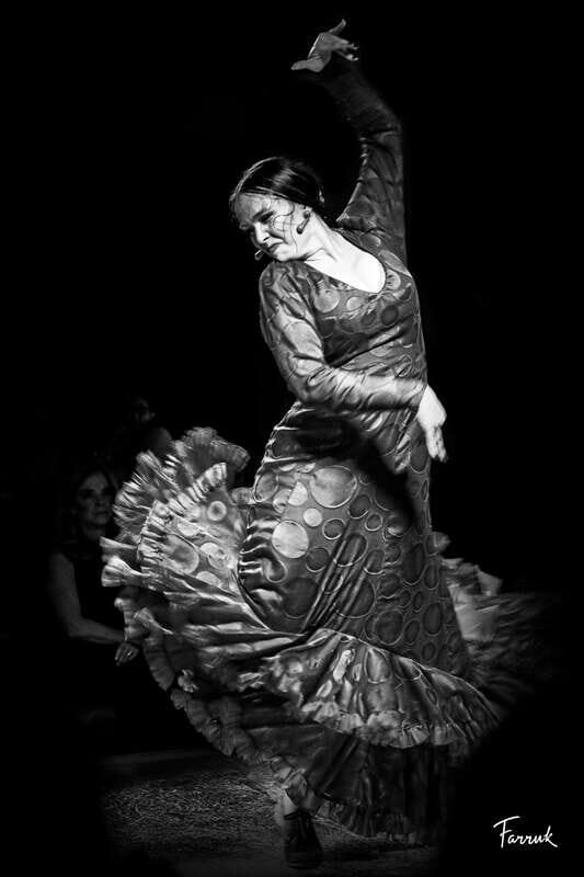 CDMX: Live Flamenco Show and Dinner - Good To Know