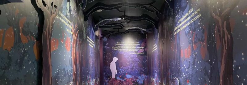 CDMX: Museum of Memory and Tolerance - Children in Silence (Admission ticket) - Who Would Benefit Most From This Experience?