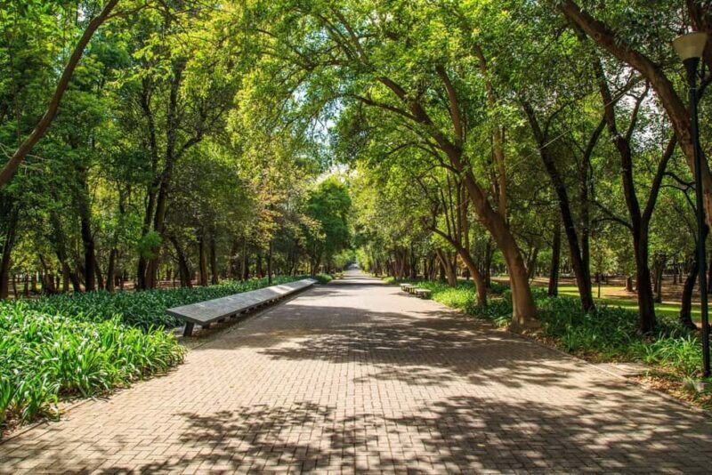 CDMX: Private bicycle tour through the Chapultepec Forest. - An In-Depth Look at the Tour
