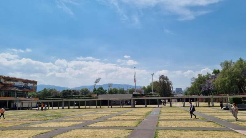 CDMX: Private tour of Xochimilco, Coyoacán, and the Frida Museum - Final Word