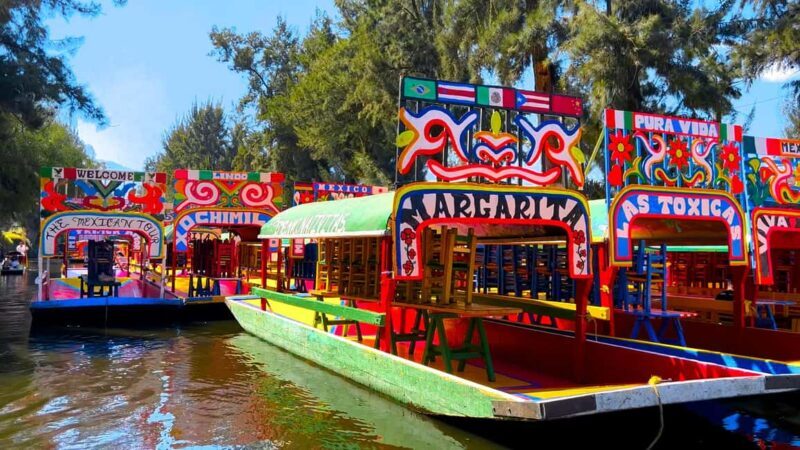CDMX: Trajinera party in Xochimilco with tacos, music, and drinks - Why This Tour Is Perfect for You  