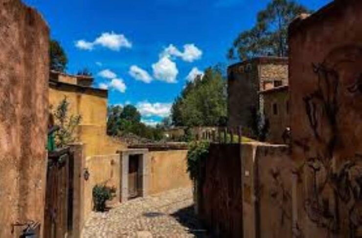 CDMX: Valquirico Day Tour - Good To Know