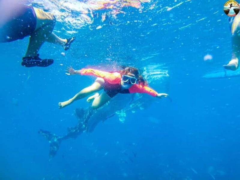 Cebu: 2-Day Island-Hopping, Canyoneering, and Whale Shark - Good To Know