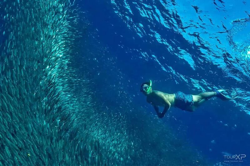 Cebu: 2 Days 1 Night City and Moalboal Tour Package - Analyzing the Experience