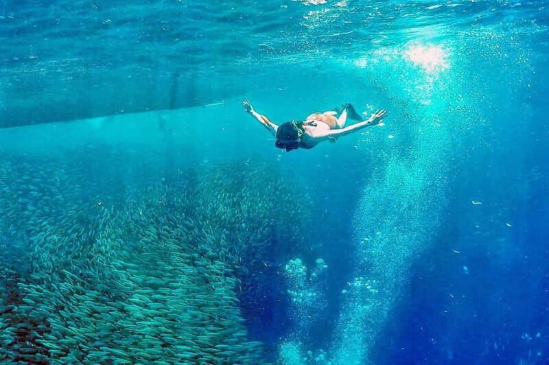 Cebu: 2 Days 1 Night City and Moalboal Tour Package - FAQ