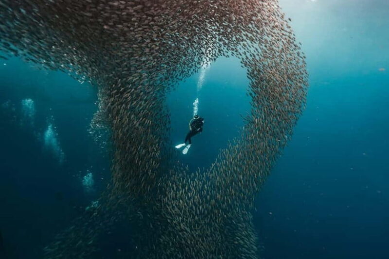 Cebu: 4 Days and 3 Nights Cebu Tour Package - FAQ