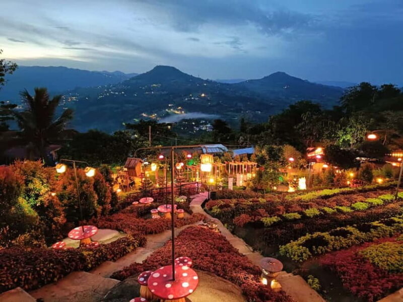 Cebu: 4 Days and 3 Nights Cebu Tour Package - Practical Tips for Your Cebu Adventure