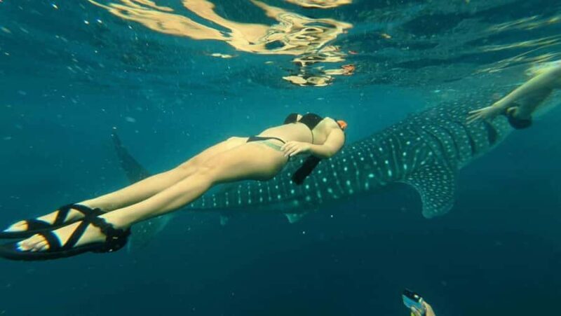 Cebu: Adventure Escape 4 Days & 3 Nights All-In Experience - Good To Know