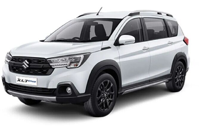 Cebu Airport to Maya Port Private Transfer Service - Who Is This Service Best For?