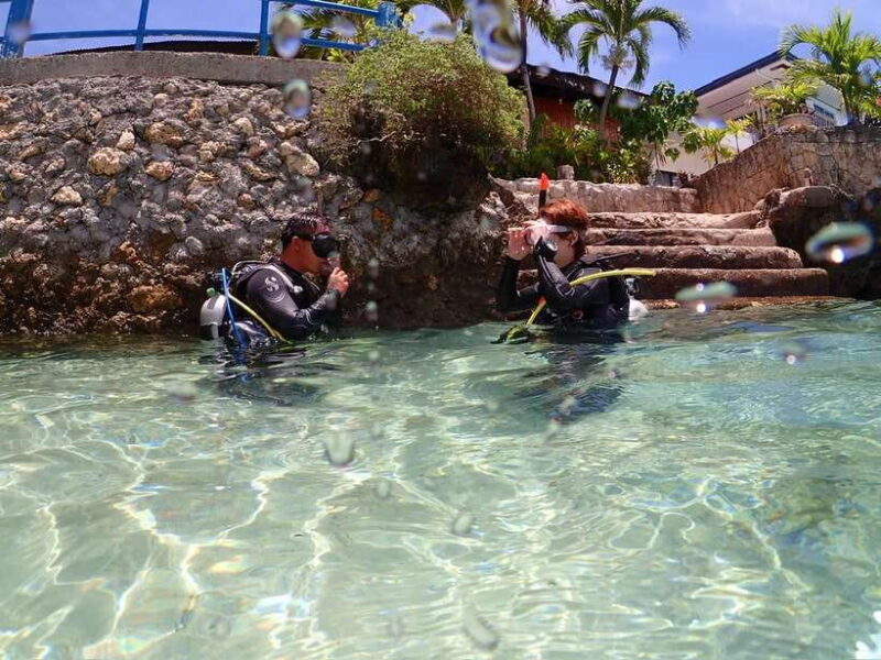 Cebu: Beach Scuba Diving Experience - What to Expect from the Cebu Beach Scuba Diving Experience